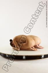 Nude Woman - Woman White Slim long brown Multi angle poses Pinup